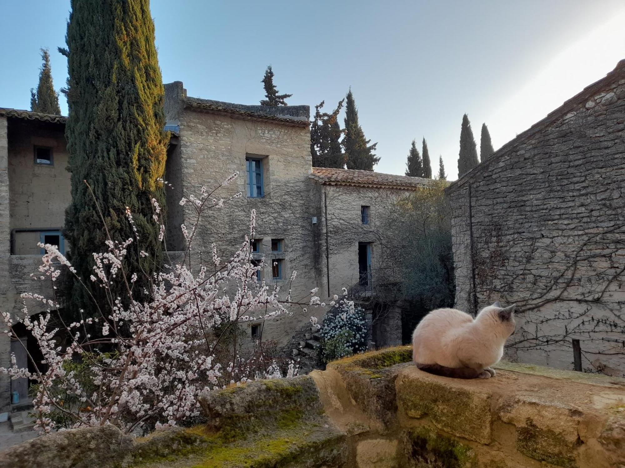 Le Mas Du Lac Uzès Exterior foto